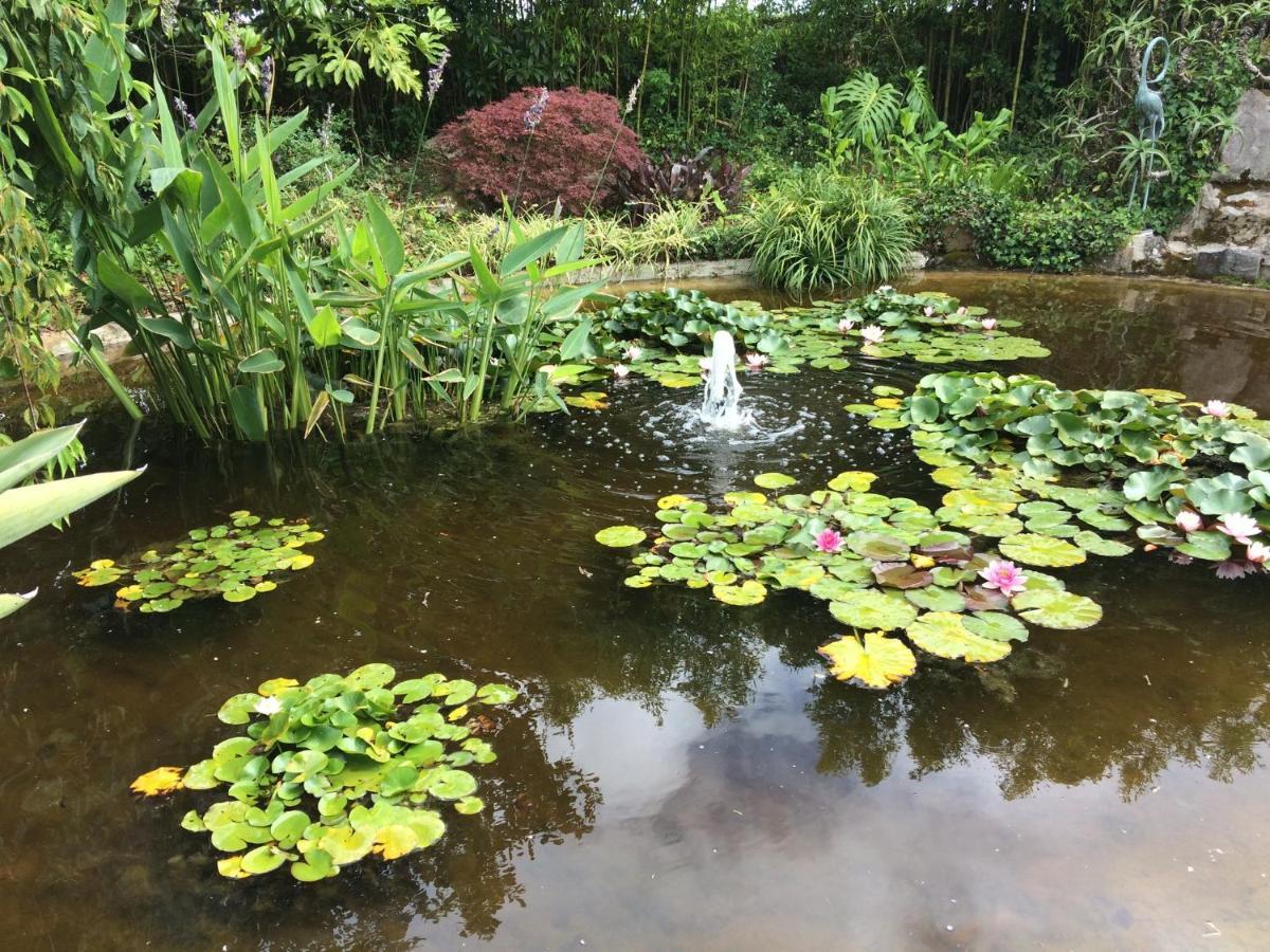 Quinta Das Pedras Belas エクステリア 写真